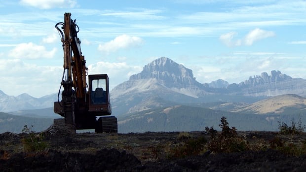 Alberta no ha considerado el impacto de la minería de carbón de montaña en el turismo: funcionario