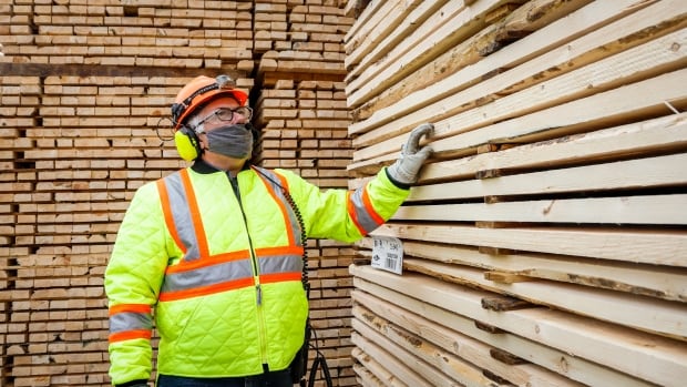 EE. UU. Eleva los aranceles sobre las maderas blandas canadienses al 17,9%, el doble de la tasa anterior