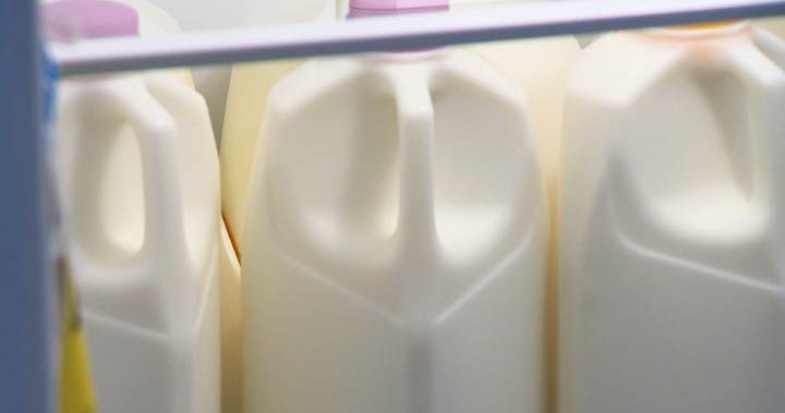BC implementa un depósito del 10 por ciento en paquetes de leche y leche alternativa 1 de febrero