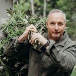 Un goteo de cannabis artesanal llega a los minoristas legales en BC – BC News
