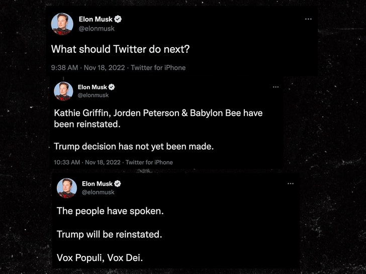 Elon Musk tuiteó 2