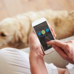 Cuidado de mascotas de vanguardia: dispositivos y aplicaciones creativos para mantener contentos a tus amigos peludos 